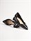 Женские туфли черного цвета на фактурном каблуке - фото 10188