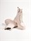 Женские высокие ботинки молочного оттенка Chewhite - фото 11670