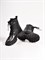 Базовые зимние ботинки черного цвета Chewhite - фото 12688