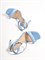 Босоножки Chewhite в нежно-голубом оттенке - фото 17373