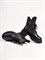 Женские ботинки черного цвета с акцентным язычком - фото 18761