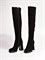 Женские зимние ботфорты на устойчивом каблуке Chewhite - фото 18849