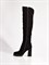 Женские зимние ботфорты на устойчивом каблуке Chewhite - фото 18851