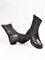 Женские демисезонные ботинки из натуральной черной кожи - фото 20707