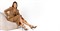 Женские босоножки Chewhite Premium - фото 41489