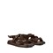 Женские коричневые сандалии Chewhite - фото 51358